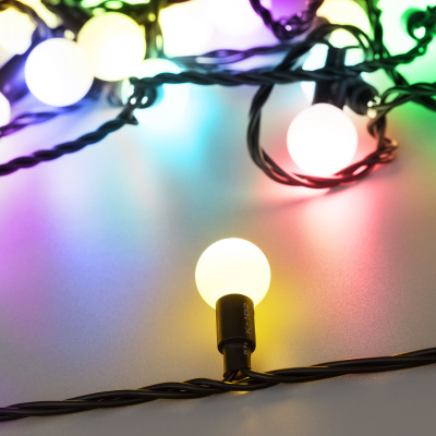 f77e7eb4366dbae467c96e64f4491e83 f77e7eb4366dbae467c96e64f4491e83