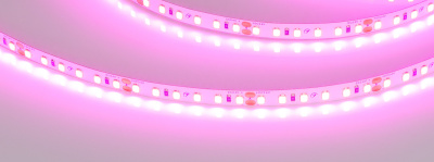 3a84b437e9f51dd0310759ee7d87374f 3a84b437e9f51dd0310759ee7d87374f