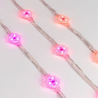 a881b4155a795382efe223e2baf79c81