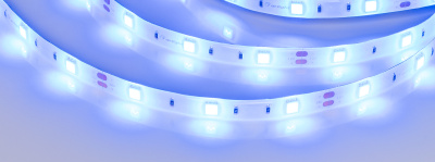 068b5cea2d54db36753f59683b824462